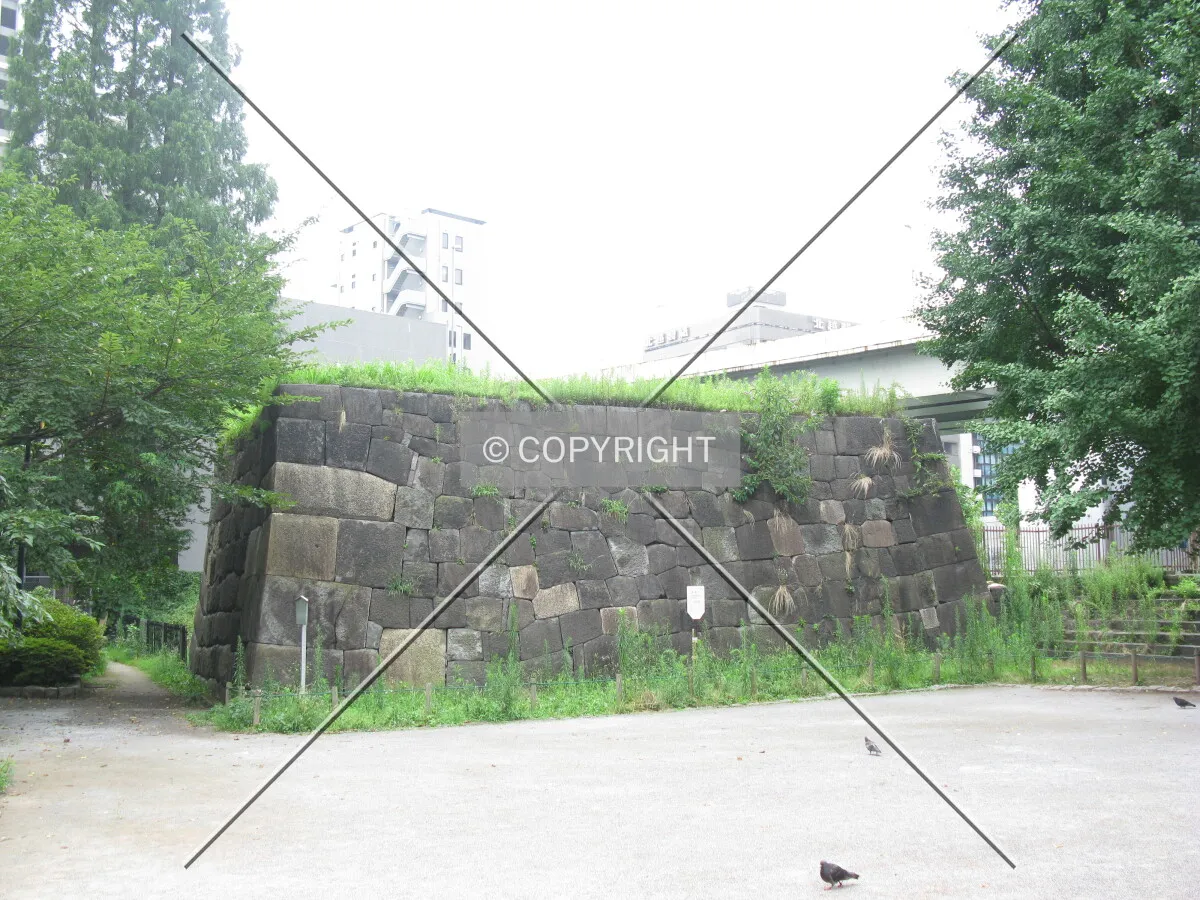 Photo 691-010-550
