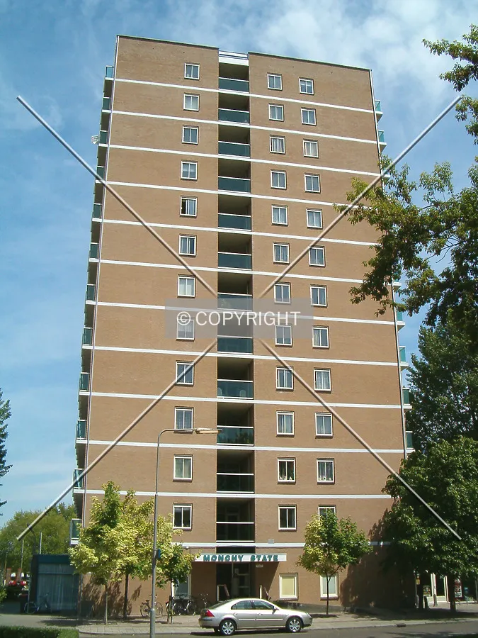 View from Paardebloemstraat
