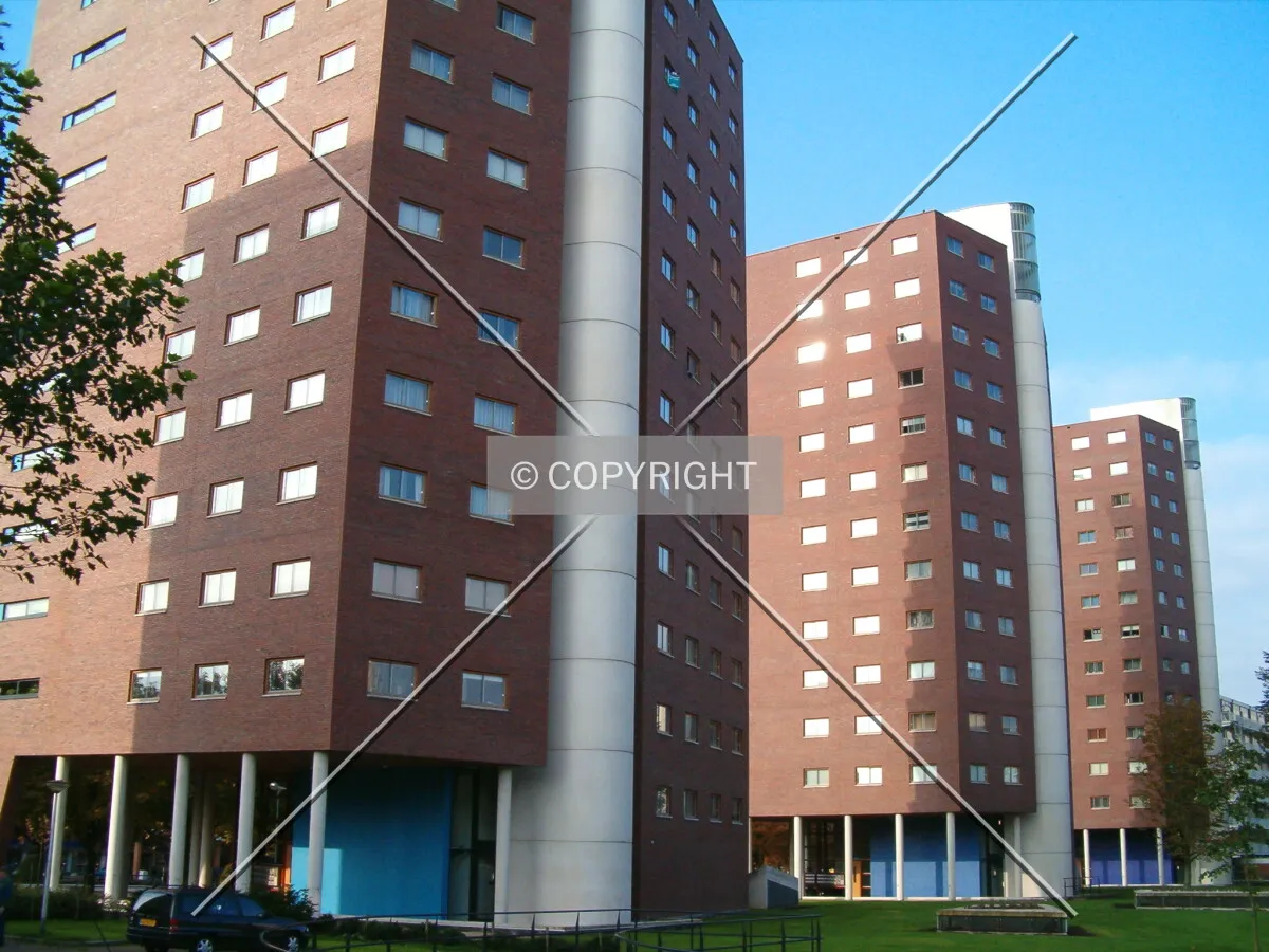 Northside of the complex