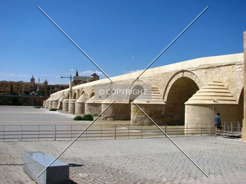 Photo 691-742-287