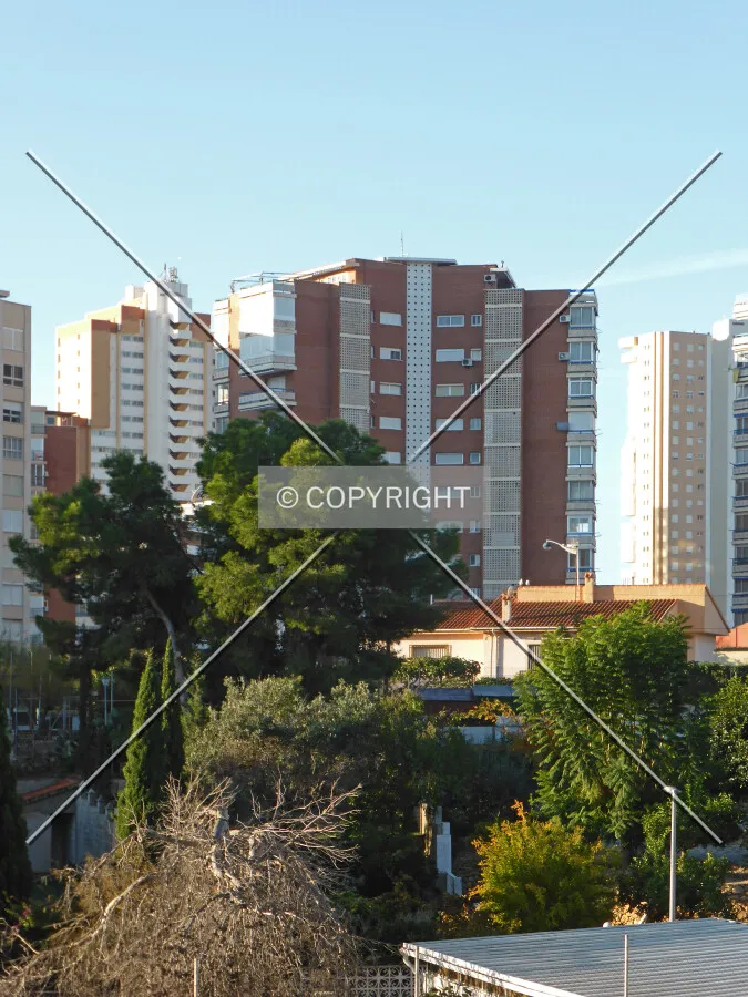 Photo 691-920-446