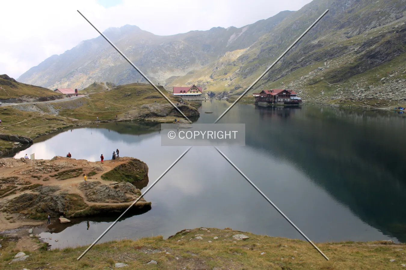 Photo 692-058-875