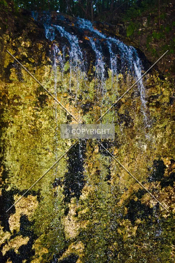 Falling Waters State Park, Chipley, Florida, U.S.A.