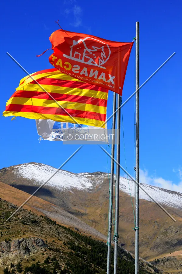 Catalunya's flag
