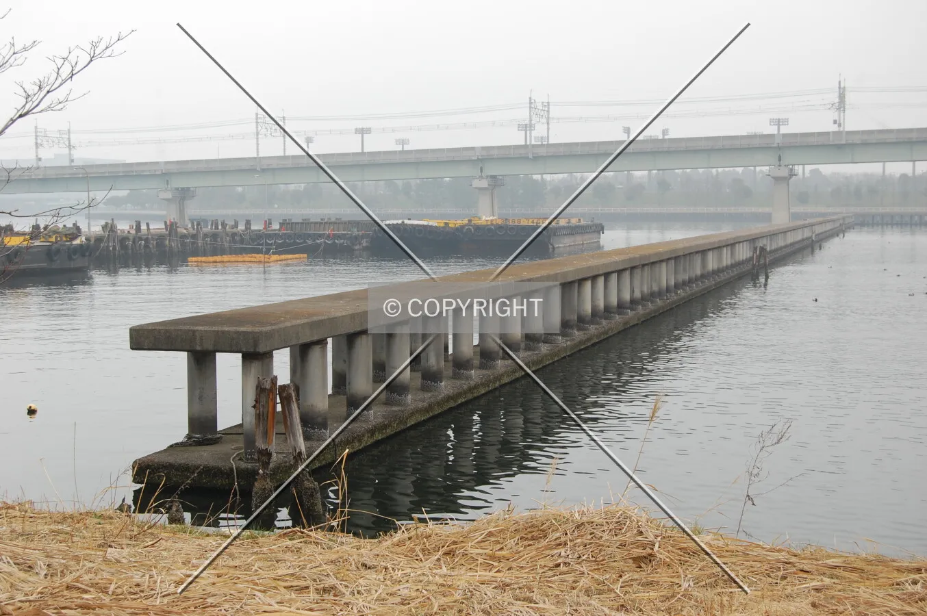 Photo 693-041-617