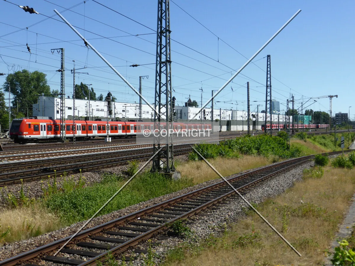 Photo 693-105-591