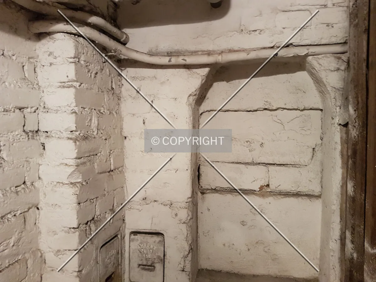 Photo 693-229-343