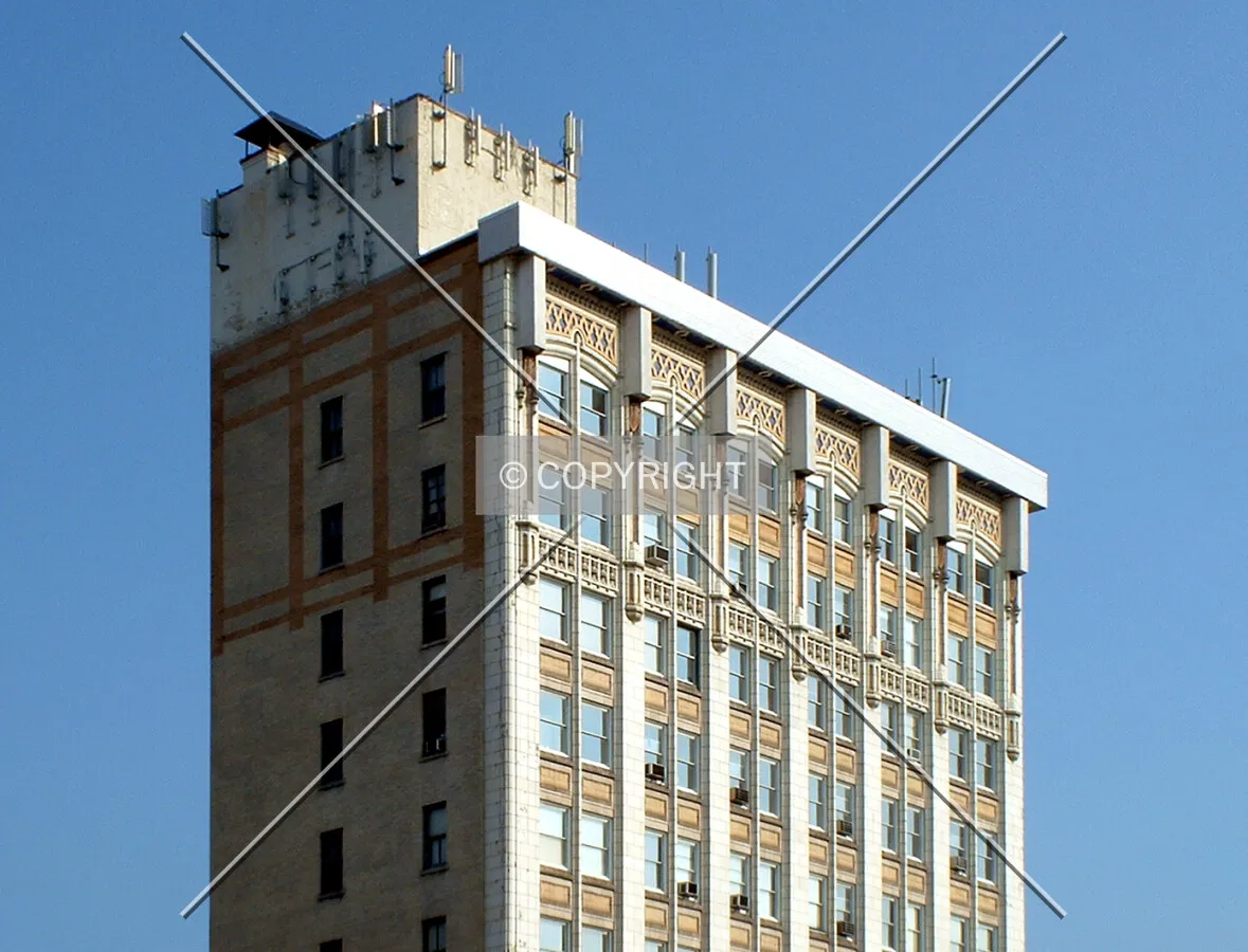 View from the north