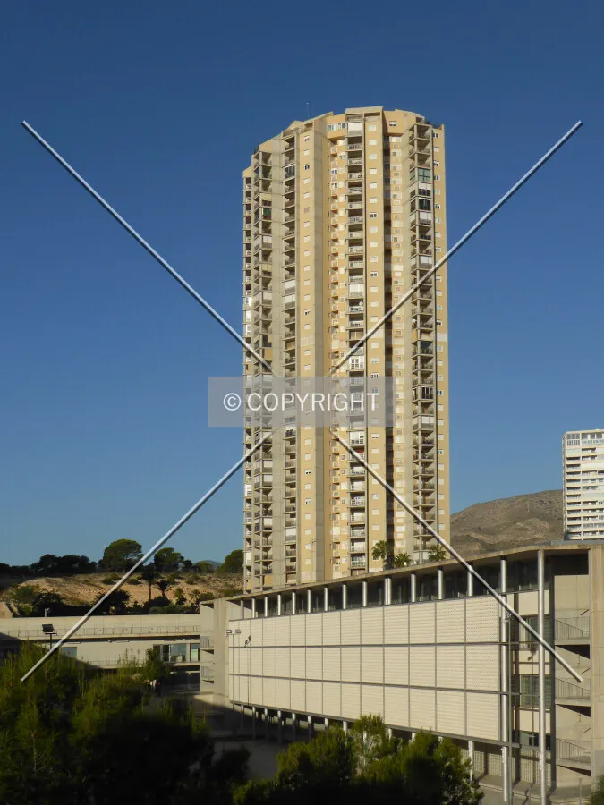 Photo 693-353-343