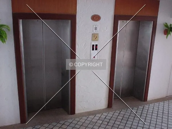 The elevators