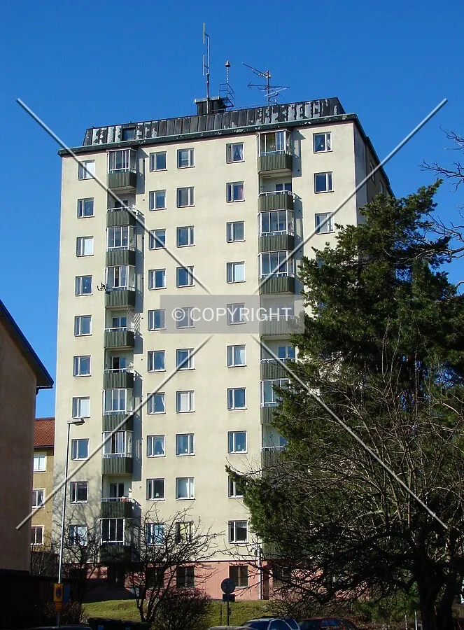 View from the east