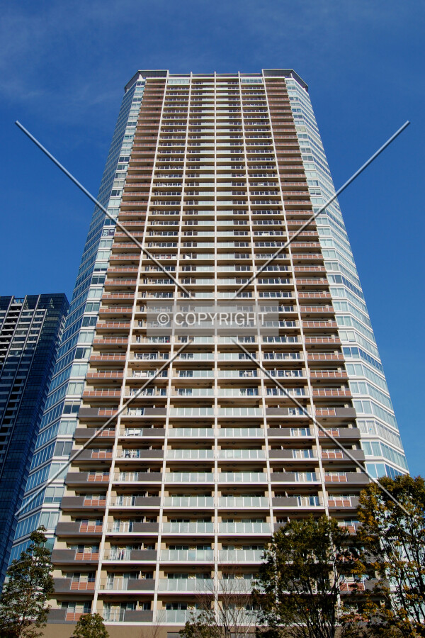 Looking up from the southwest