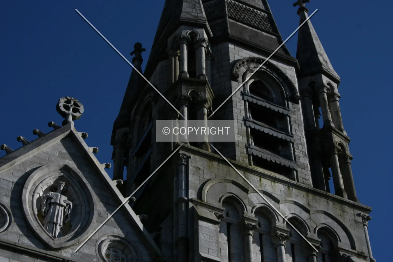 Photo 694-192-897