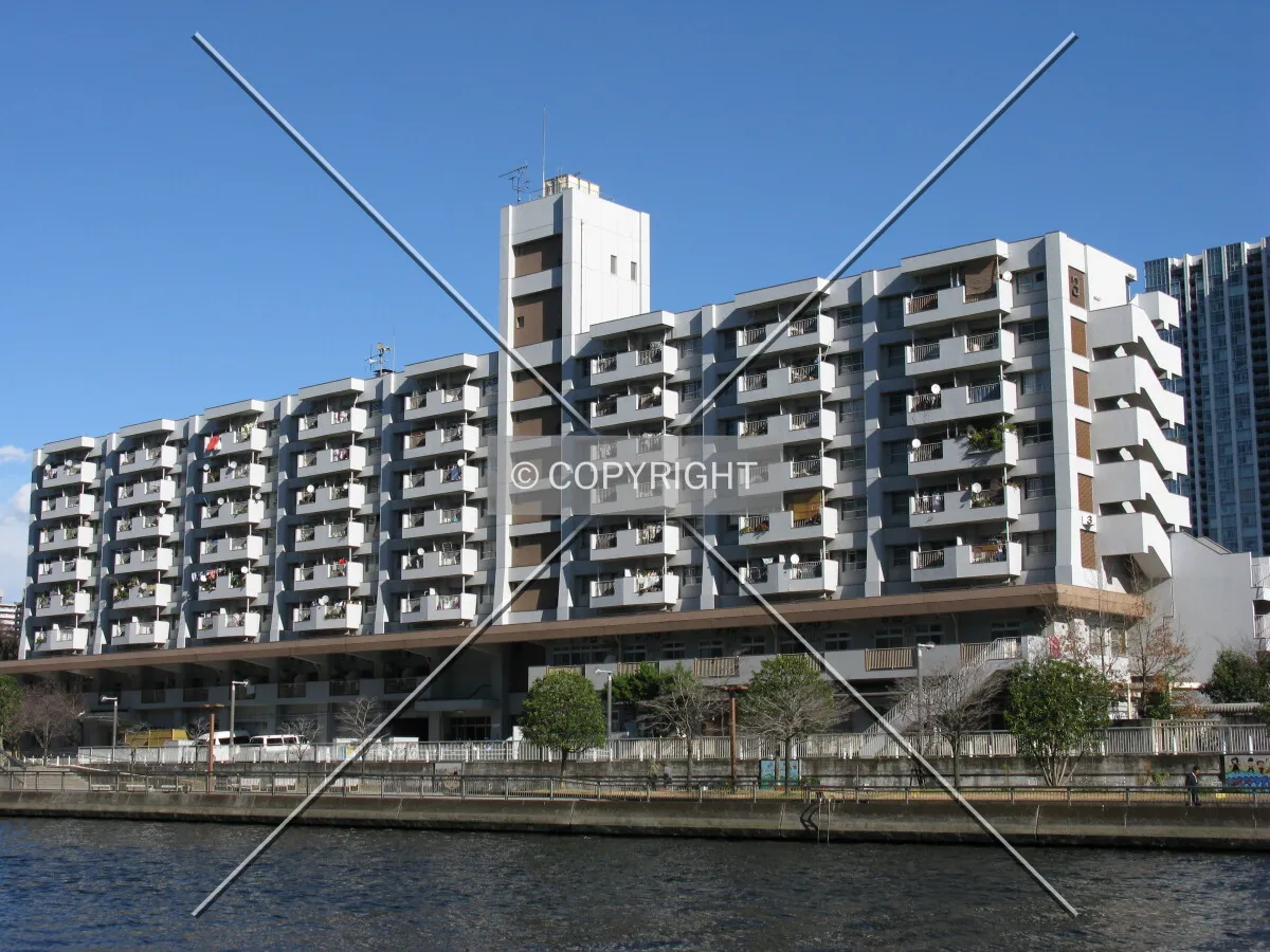 Photo 694-778-939
