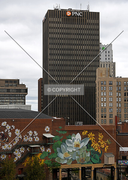 Photo 695-081-537