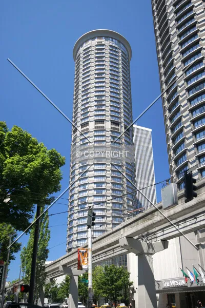 Photo 695-182-236