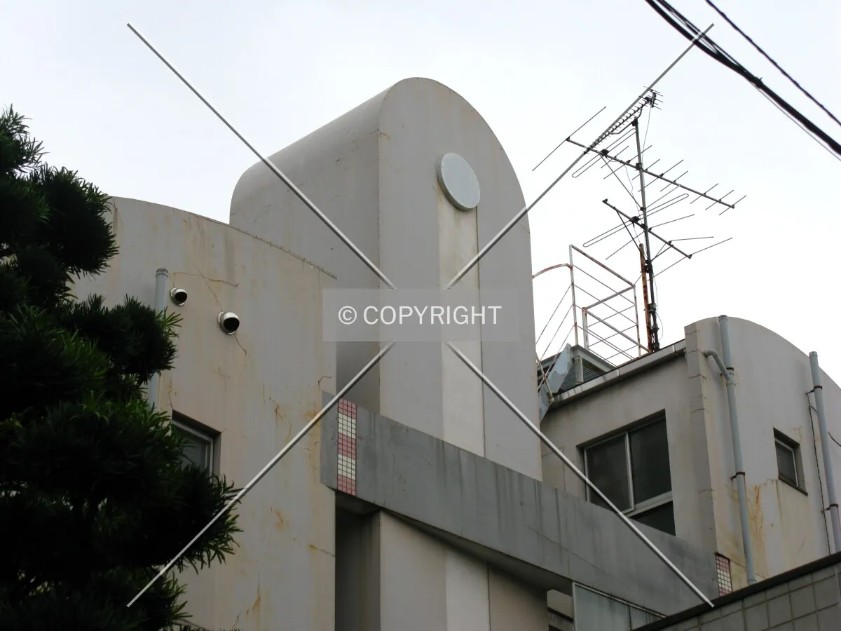 Photo 695-200-667