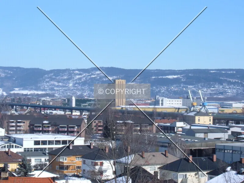 Photo 695-207-770