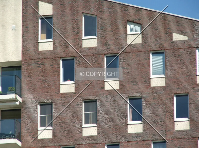Photo 695-219-056