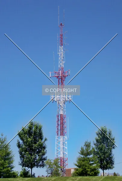 Photo 695-249-783