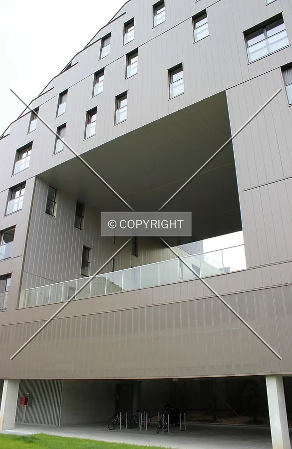 Photo 695-373-215