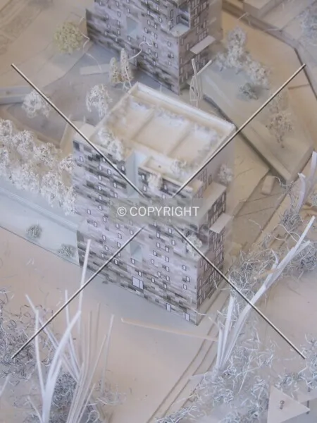 Photo 695-543-656