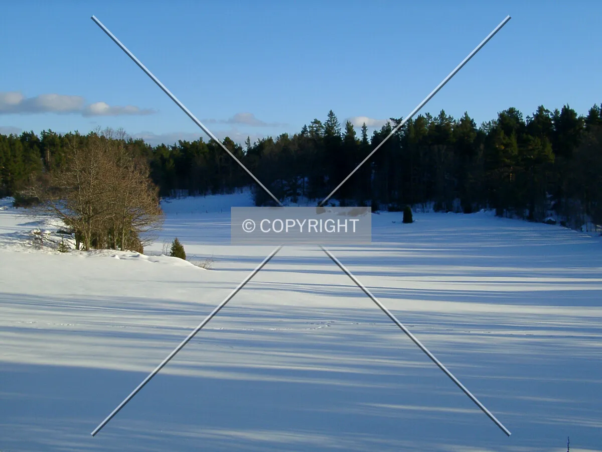 A wide snowy meadow