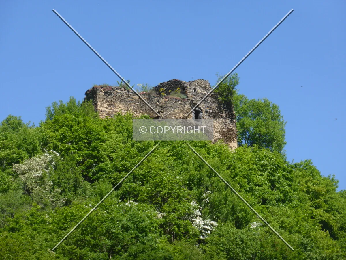 Photo 695-864-073