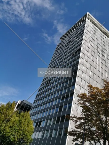 Photo 695-875-075
