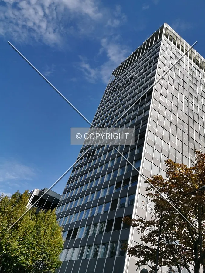 Photo 695-875-075