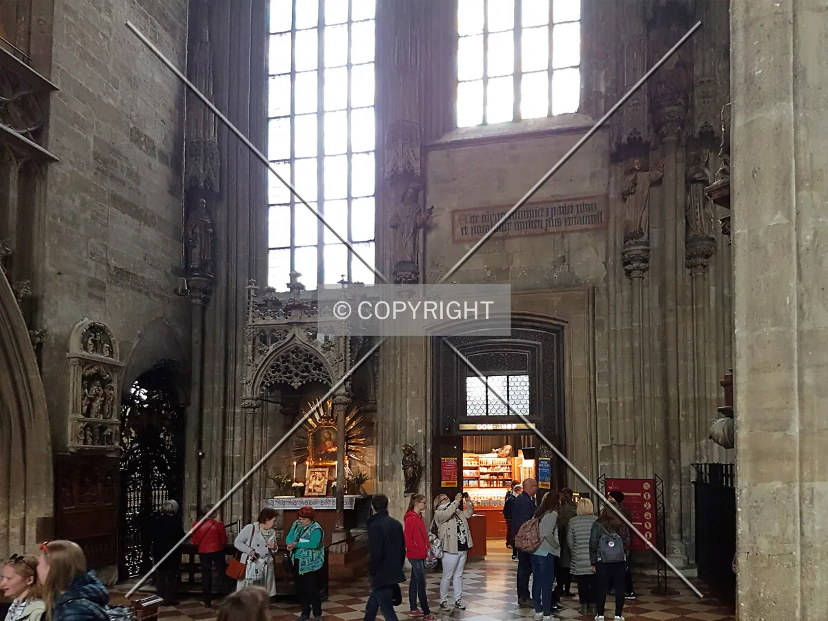Photo 696-310-797