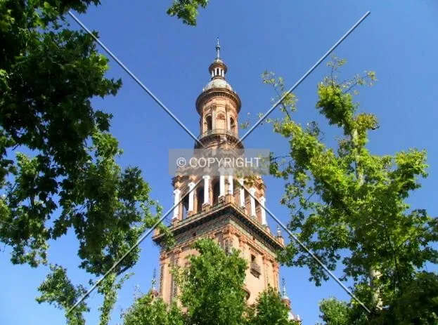View of the top