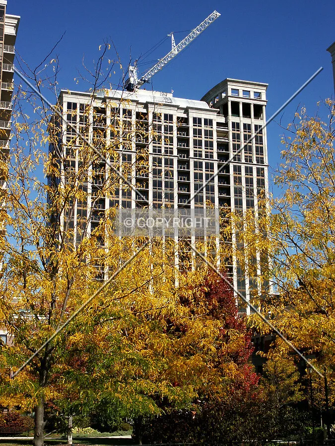 South facade through fall foliage