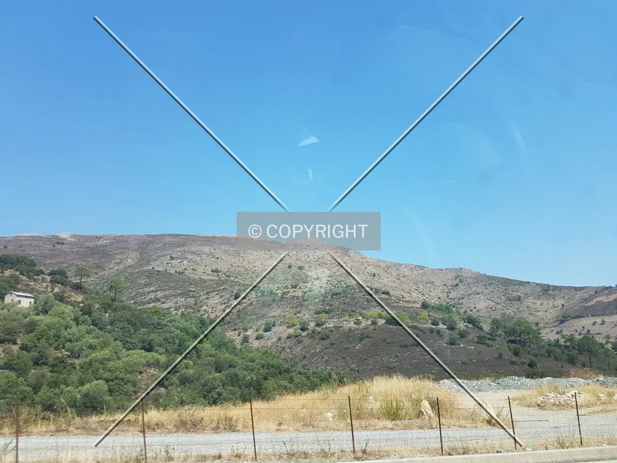 Photo 697-012-622