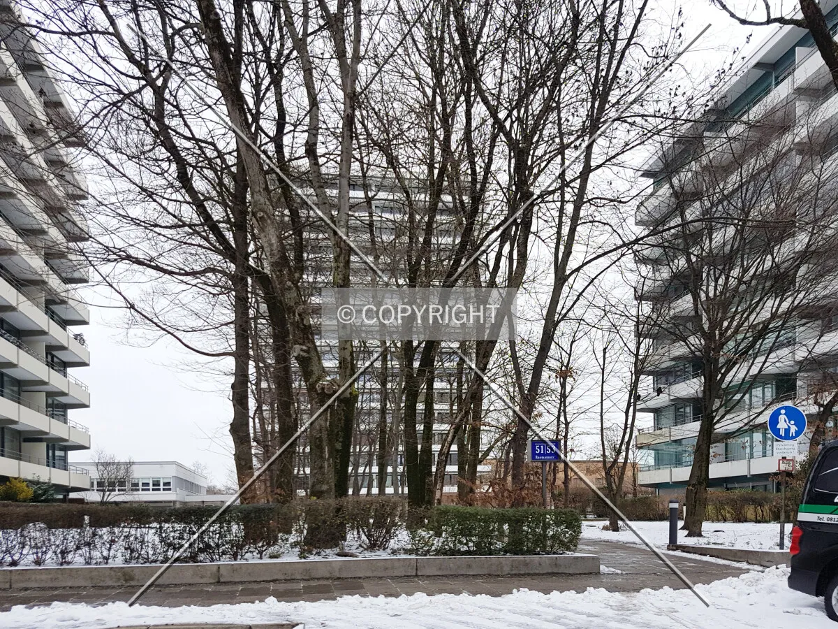 Photo 069-706-654