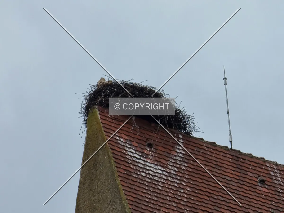 Photo 697-085-599