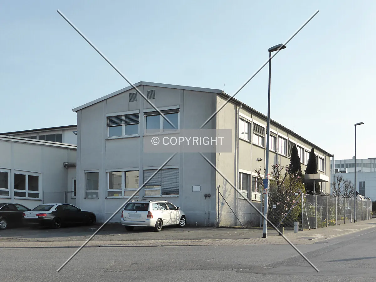 Photo 697-243-654