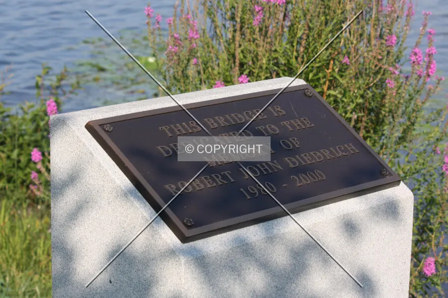Photo 697-246-510