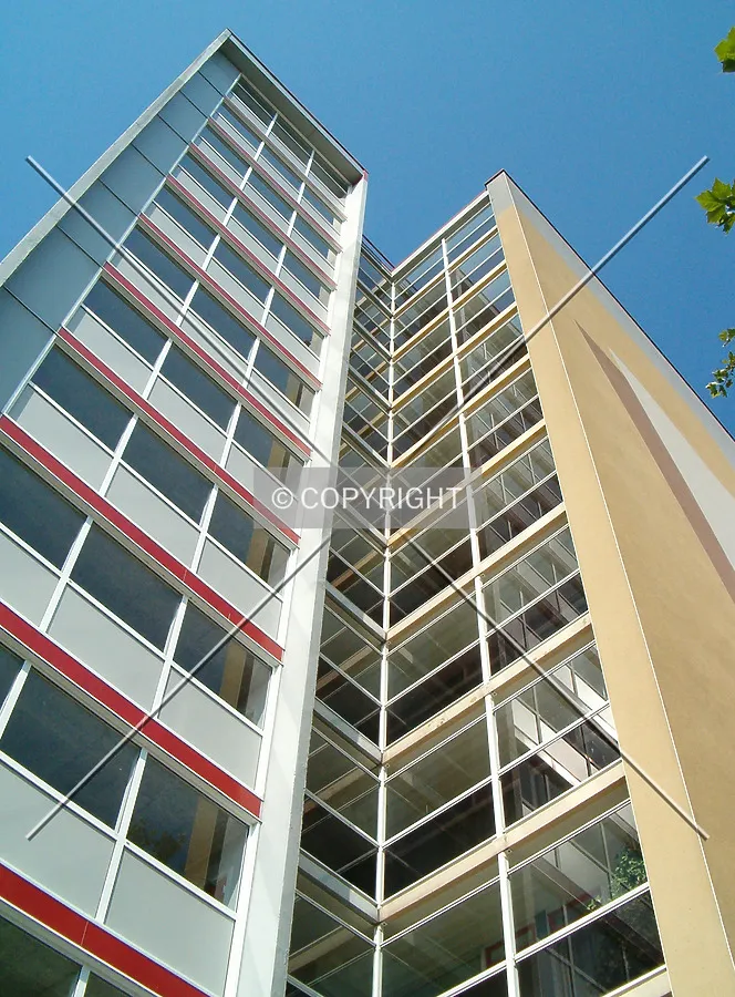Looking up from Wezenland