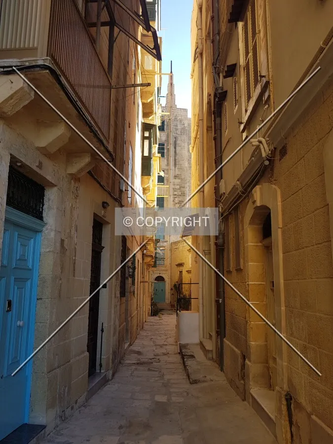 Photo 697-361-393