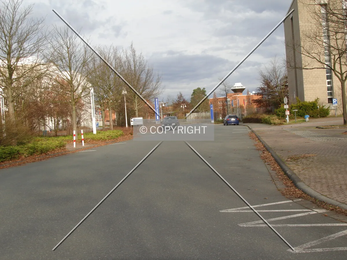 Photo 697-568-244