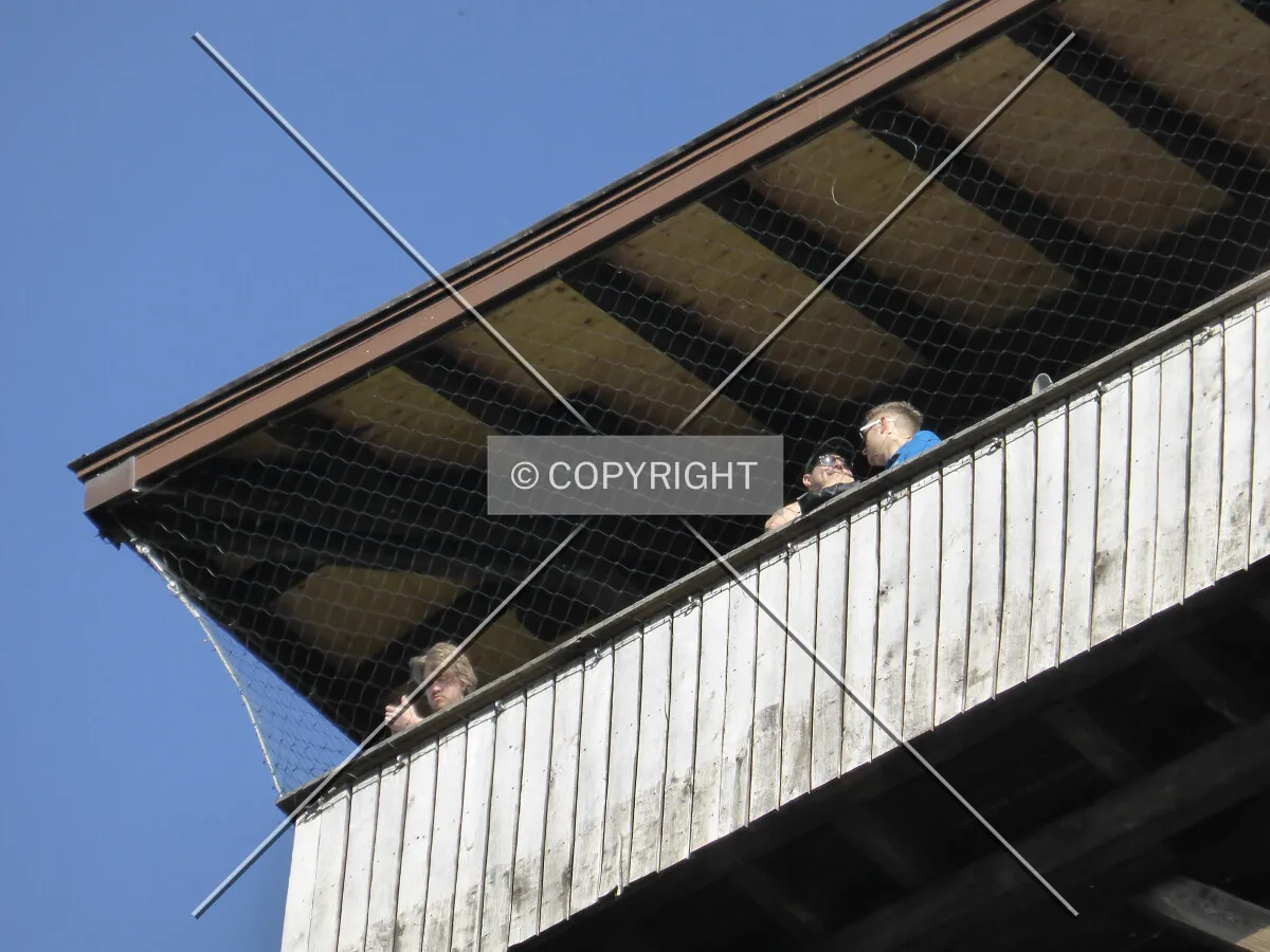 Photo 697-754-736