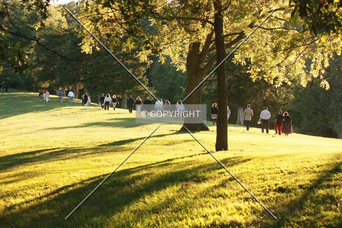 Guests leaving a wedding cermony