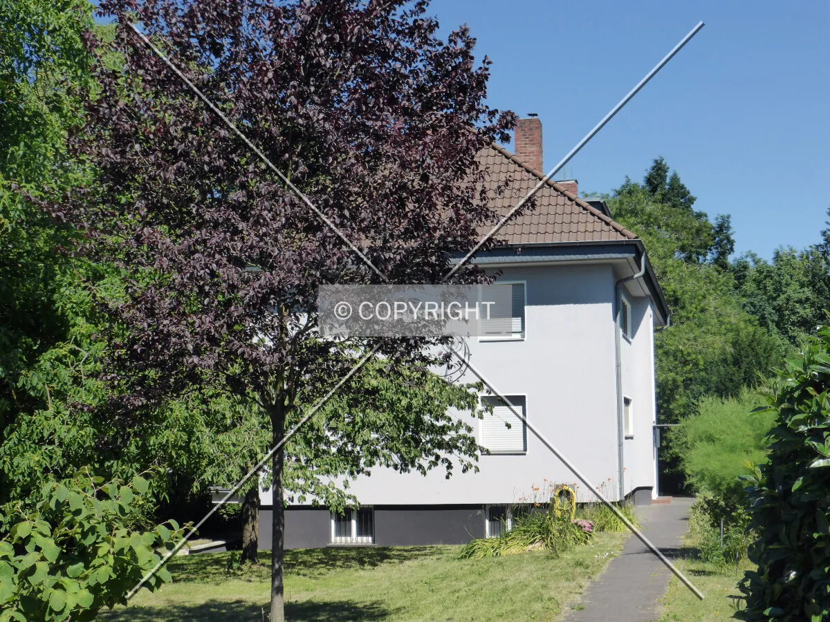 Photo 698-204-443