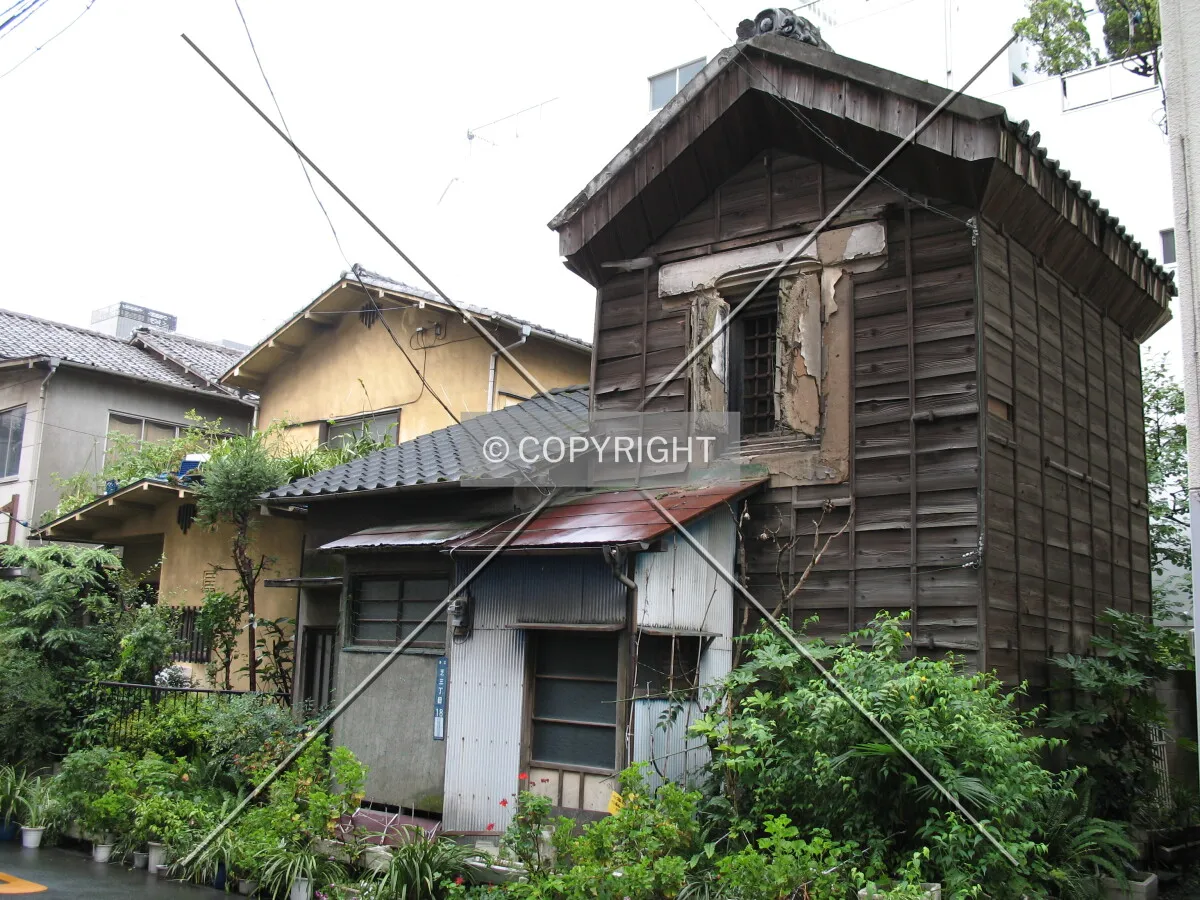 Photo 698-279-446