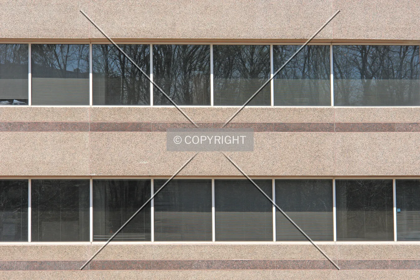 Facade and windows