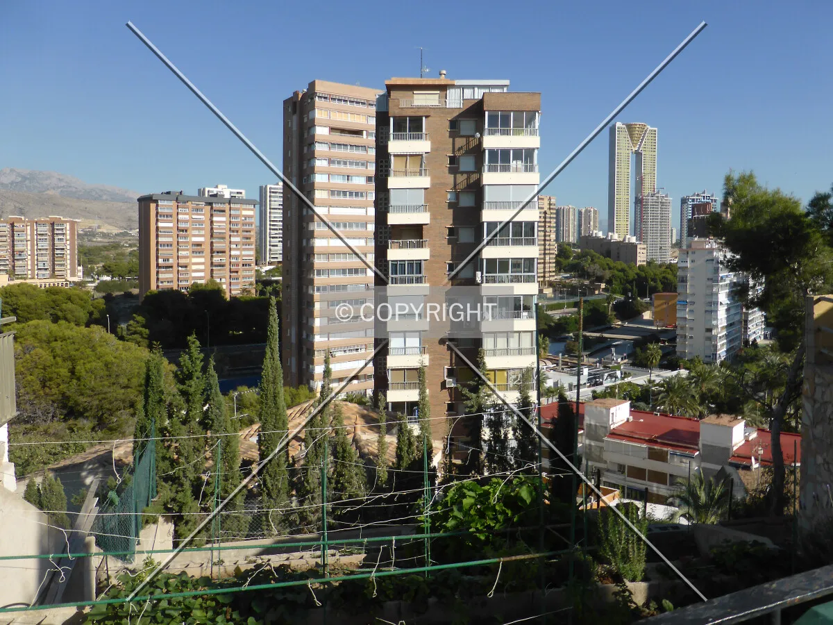 Photo 698-287-394