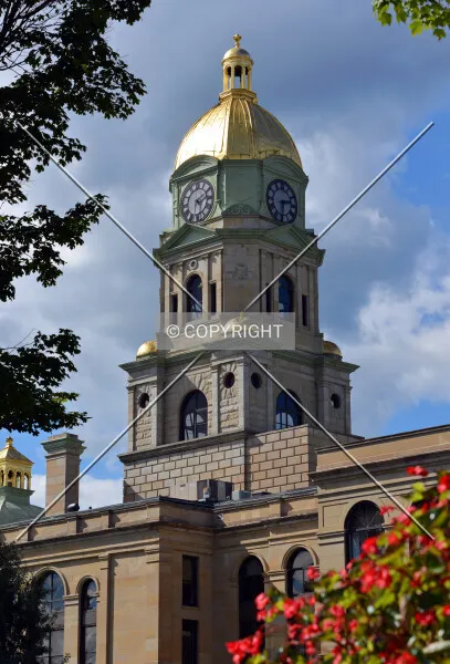 Photo 698-298-401