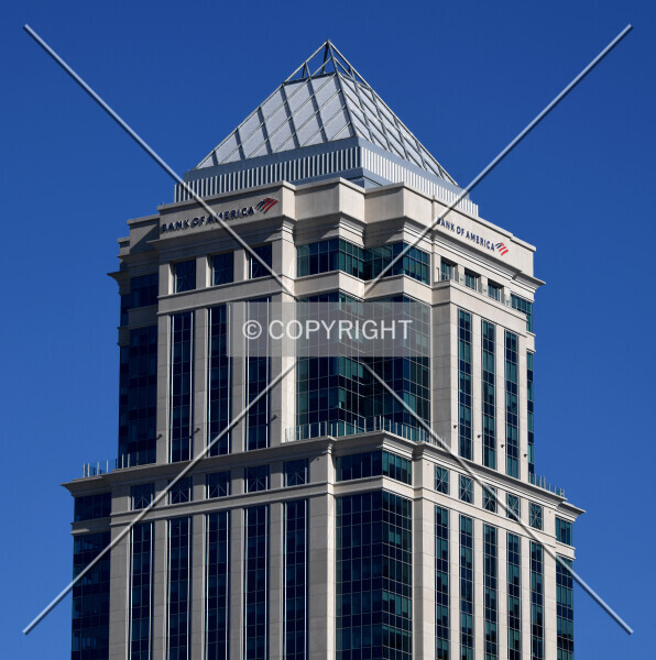 Photo 698-328-909