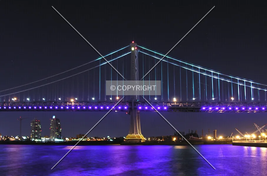 Photo 698-395-321